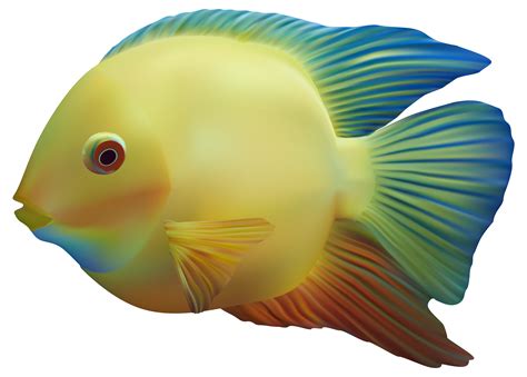 Fish Png Images .
